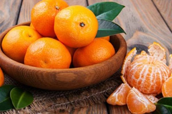 خرید و قیمت نارنگی محلی مازندران + فروش صادراتی